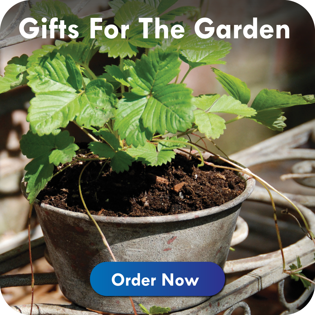 Wholesale garden ornaments and gifts